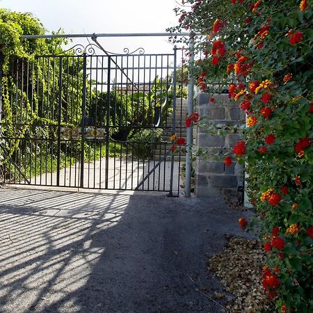 Villa Con Piscina Vista Mare Santo Stefano  エクステリア 写真