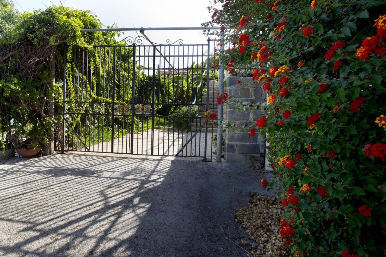 Villa Con Piscina Vista Mare Santo Stefano  エクステリア 写真